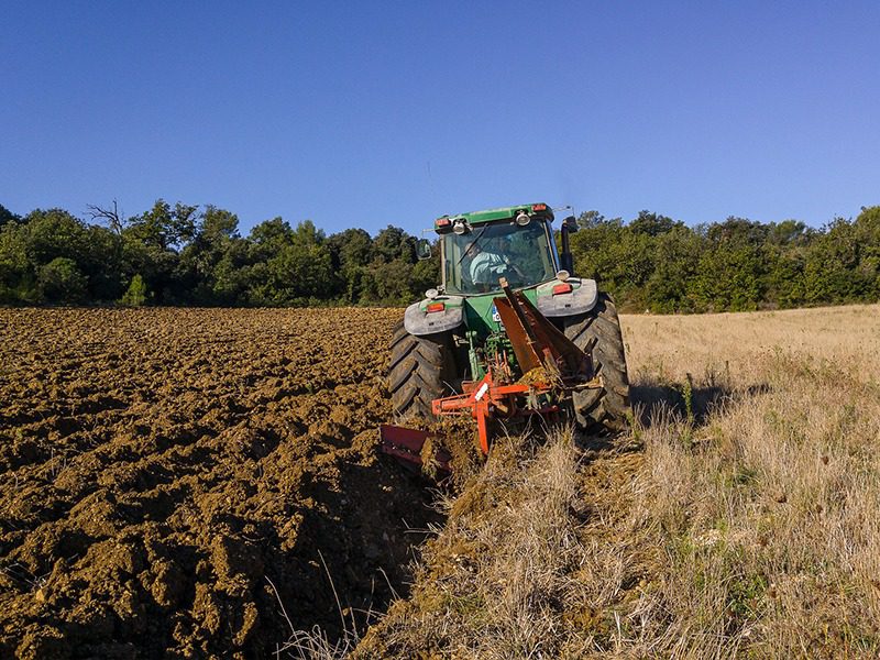 Servicios Inversión inmobiliaria en Chiapas 1 Terreno agricola soconusco