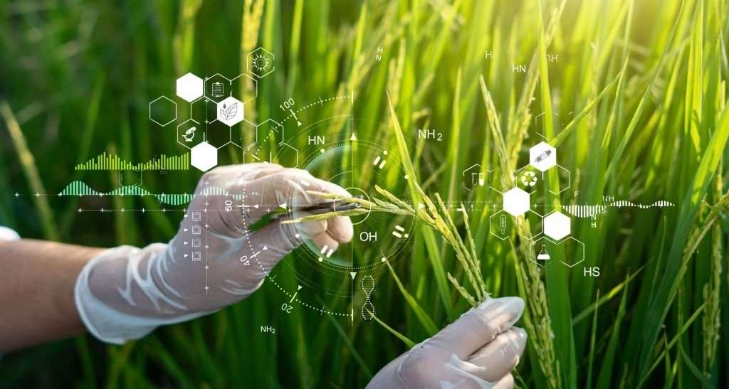 Terreno con potencial Turístico en la Costa de Chiapas 21 investigacion cientifica reservaecologica terreno venta 1