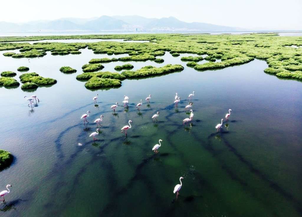 Terreno con potencial Turístico en la Costa de Chiapas 19 reserva biosfera encrucijada avistamiento aves belem 1