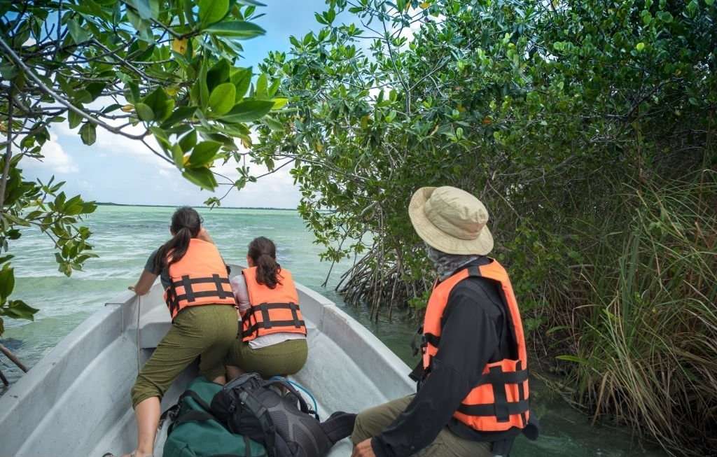 Inversión inmobiliaria en la Reserva de la Biosfera La Encrucijada 1 terreno ecoturistico en venta costa de chiapas