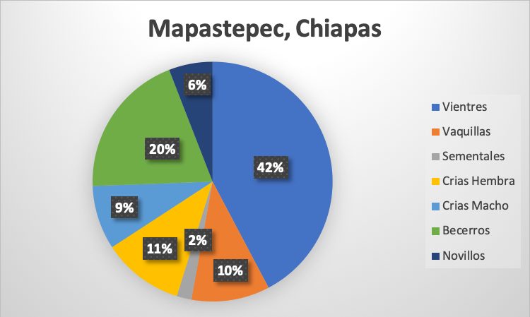 Ganadería en la Costa de Chiapas, Terrenos ideales 7 mapastepec