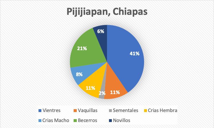 Ganadería en la Costa de Chiapas, Terrenos ideales 5 pijijiapan