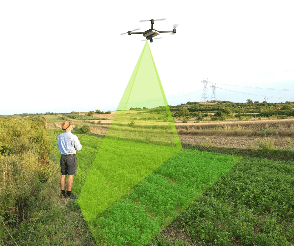Innovaciones que Están Cambiando la Agricultura y Ganadería: Cómo Elegir el Terreno Adecuado para el Futuro 1 terreno en venta en chiapas 4