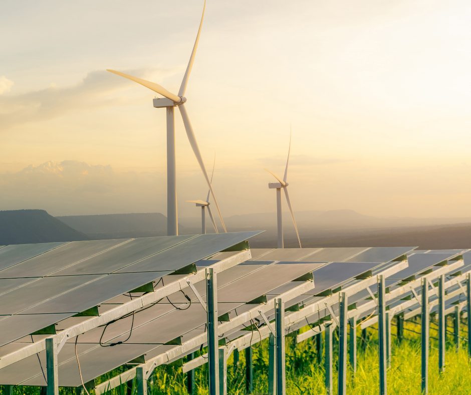 Sostenibilidad y Agricultura: Cómo la Selección de Terrenos Eco-Amigables Beneficia al Planeta y al Agricultor 1 terrenos agricultura sostenible inversiones agropecuarias en chiapas