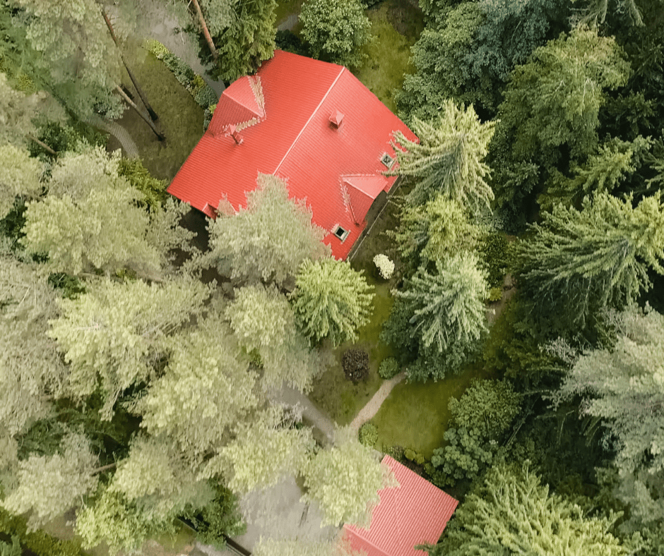 Descubre Cómo un Terreno para una UMA Puede Florecer con el Ecoturismo 3 construccion en la naturaleza