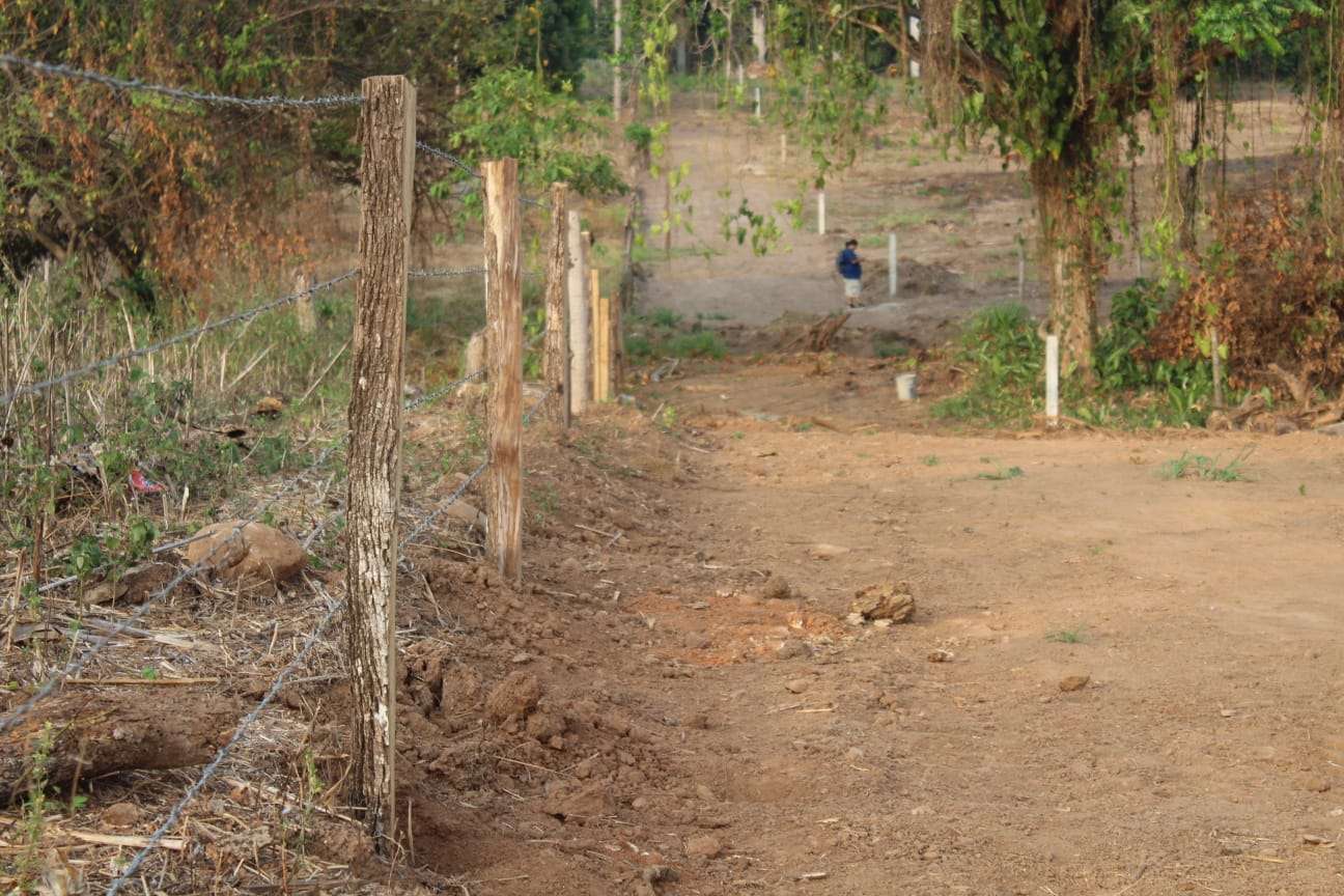 Terrenos en Chiapas 1 postes de maddera