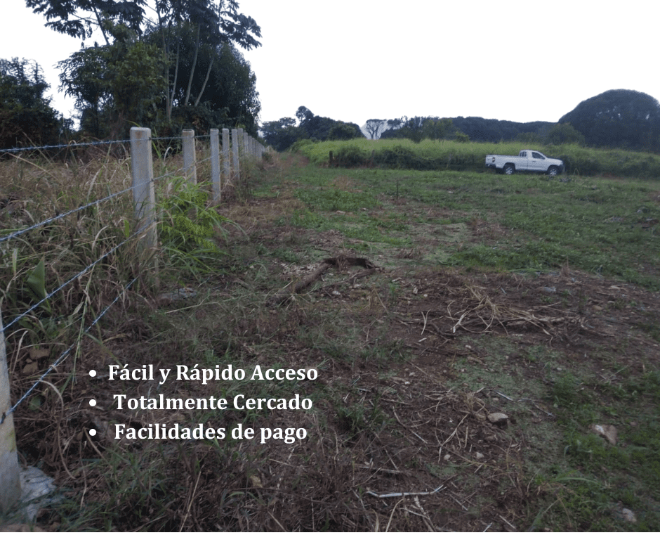 Terreno en Escuintla Chiapas 7 terreno escuintla chiapas