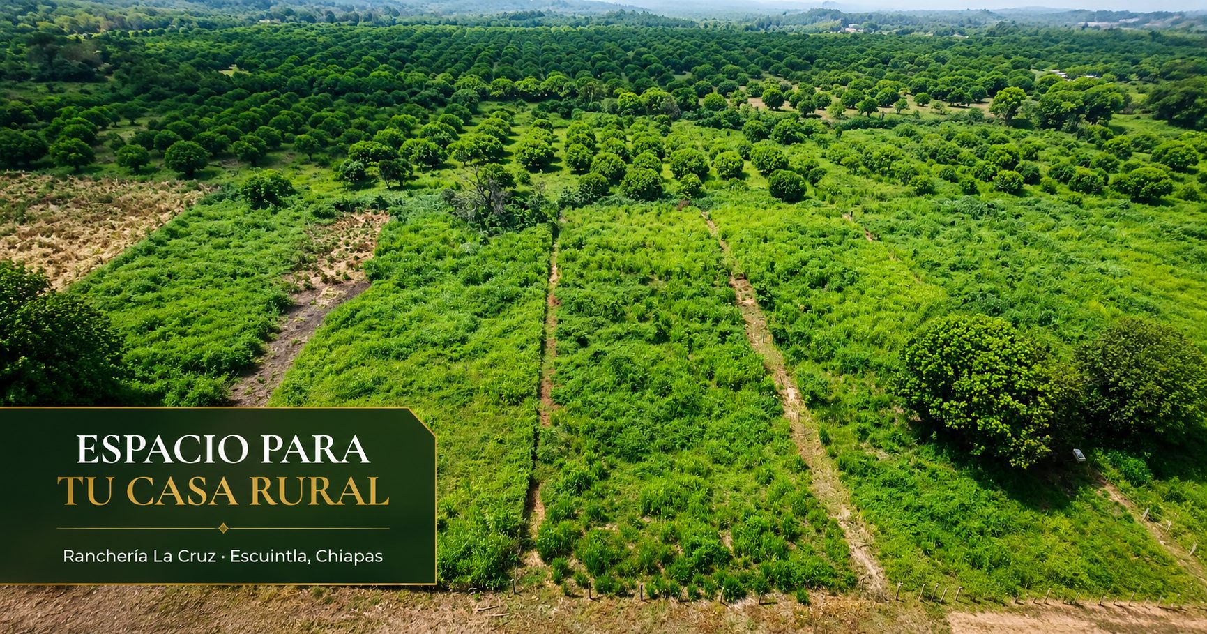 Inversión inmobiliaria en terreno campestre en el Soconusco, Chiapas