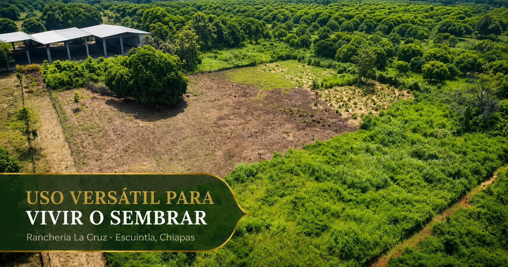 Macrolote campestre plano en venta en Escuintla, Chiapas